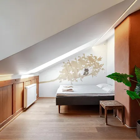 Airhome - Owl's Nest