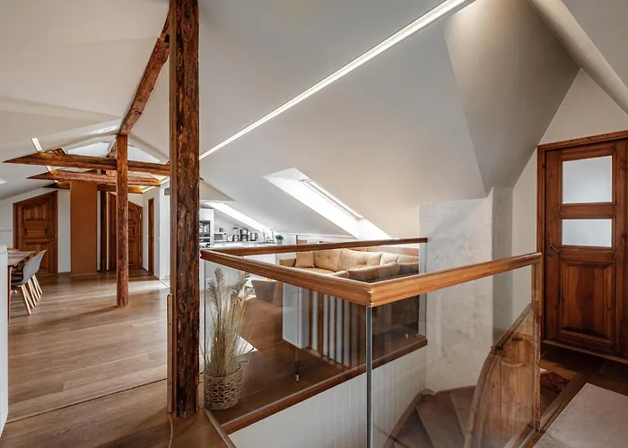 Airhome - Owl's Nest