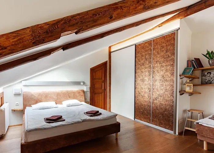 Airhome - Owl's Nest