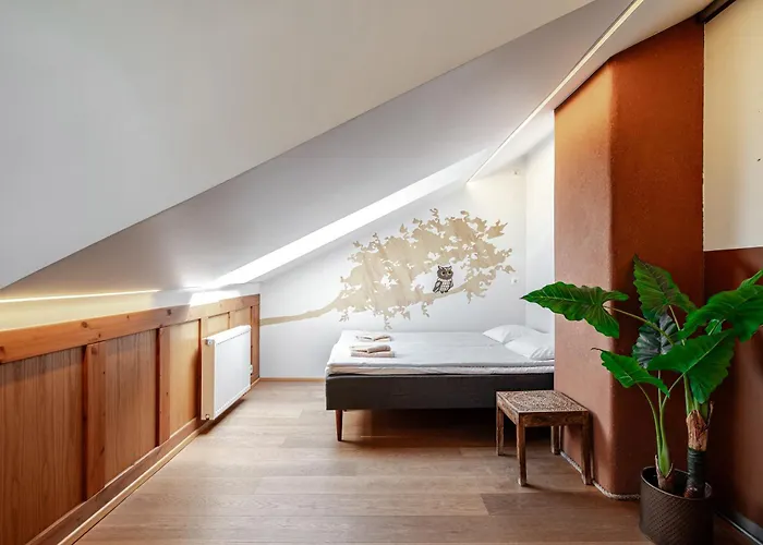 Airhome - Owl's Nest