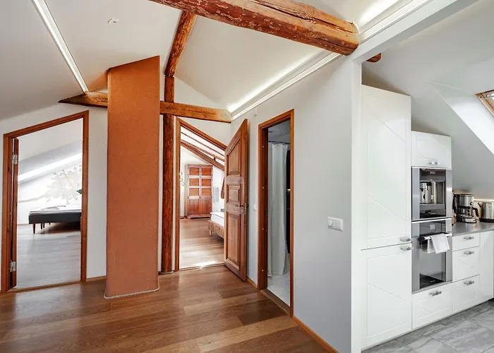 Airhome - Owl's Nest *